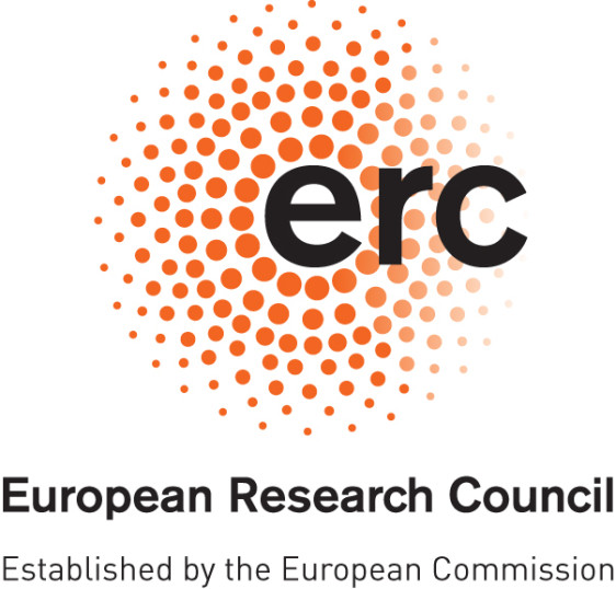 ERC - the activity and success rate of the Czech Republic